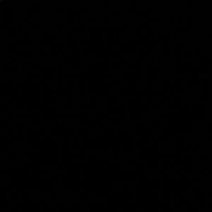 Meet your Posher, Bluejasmin